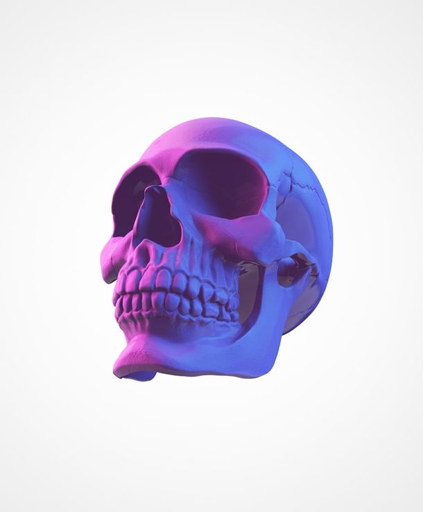 craneo_1
